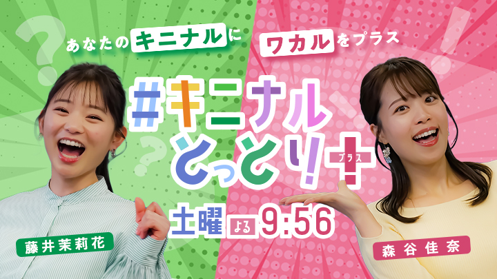 キニナルとっとりトップスライド